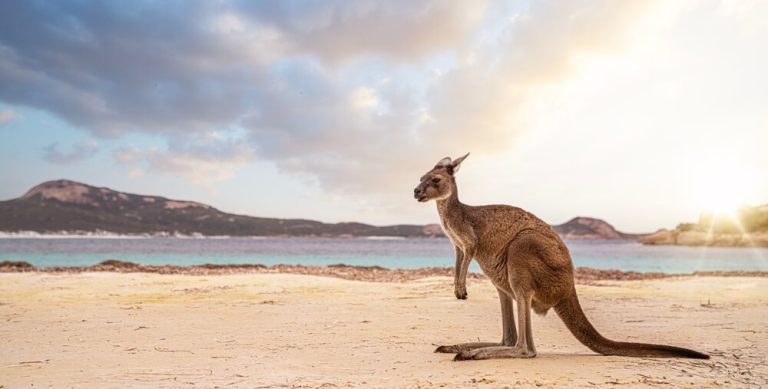 Best Australian Bucket List Experiences for Corporate Travellers